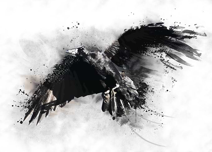 The Crow