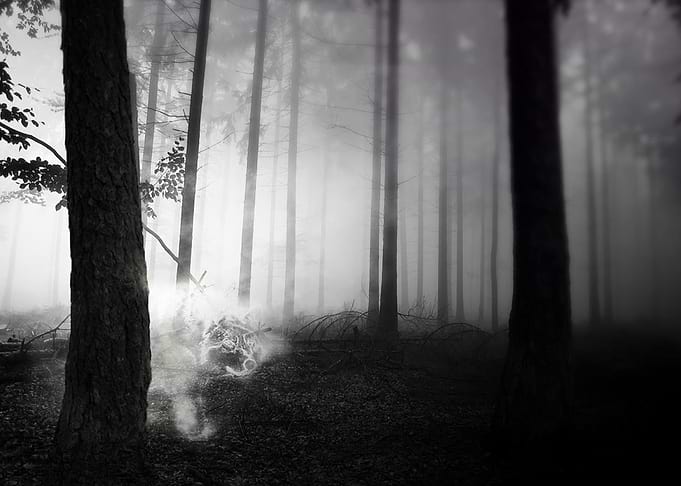 Ghost Wolf