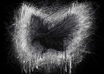 The Raven Black Edition