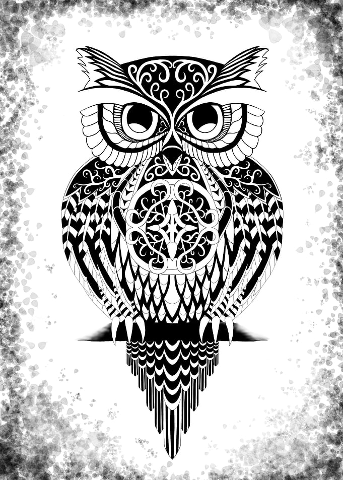 An Owl in Black