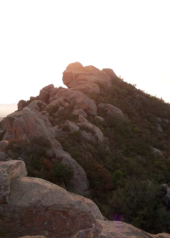 Atop Bishop's Peak