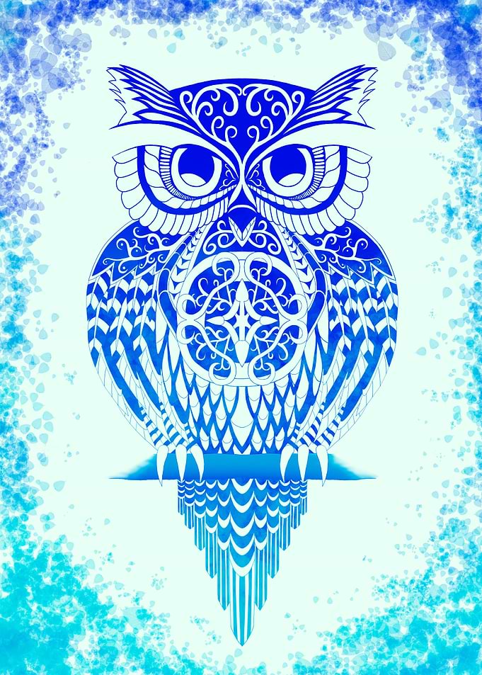 An Owl in Blue