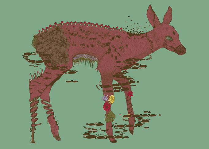 Fawn Spirit