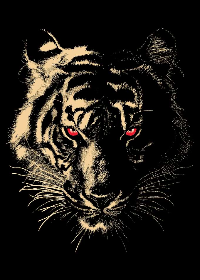 Story Of The Tiger