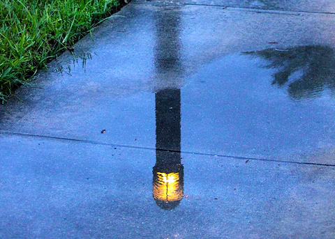 Reflected Light