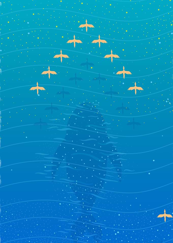 Migration