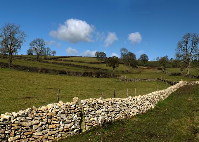 A Winter Wall