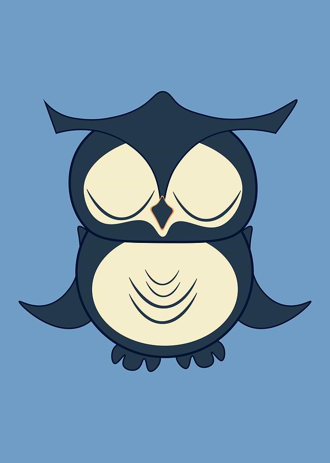 Owl illustration