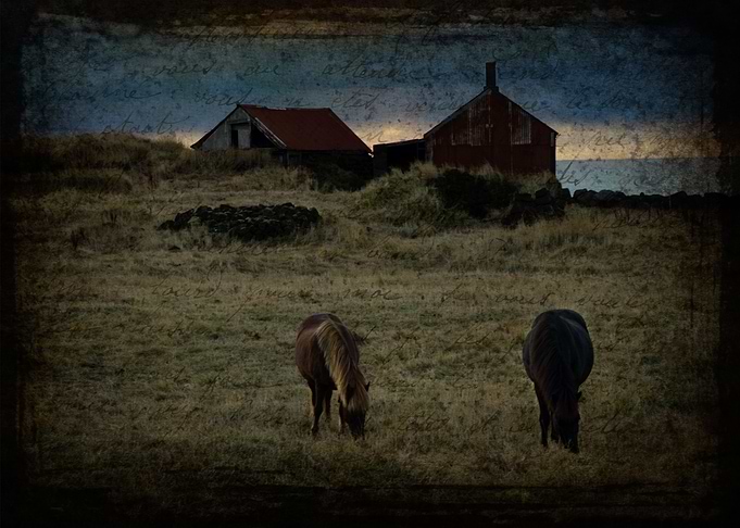 Departure :: A Story of Loss I