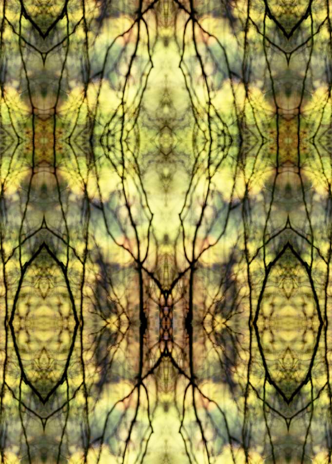 Abstract Yellow Trees