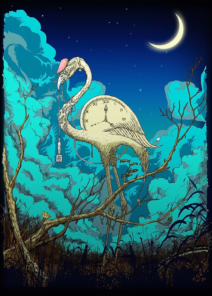 Flamingo Night