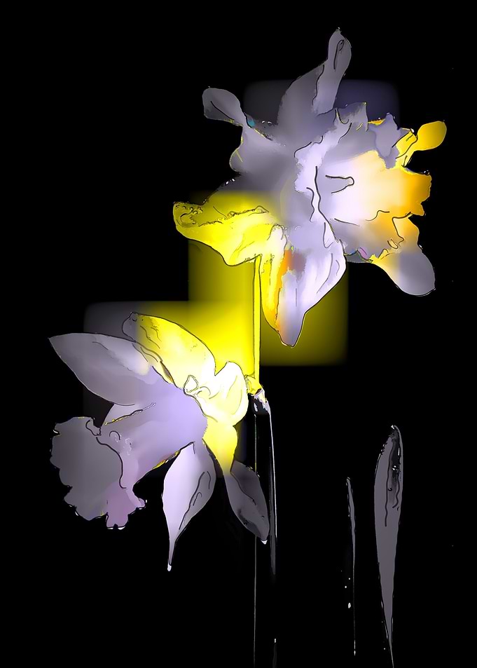 Cubist Daffodils. An impression, a feeling, nothing mor ...