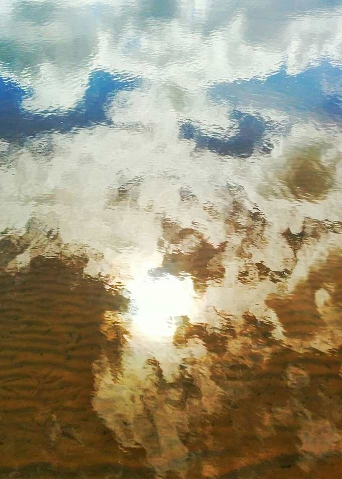 Pond
