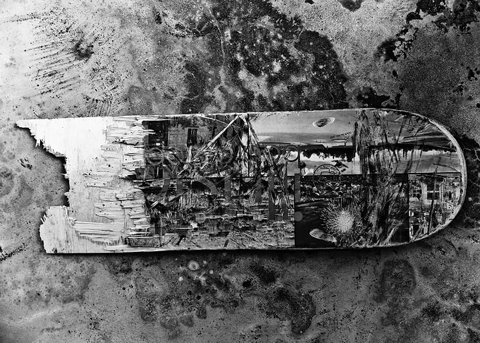 Board