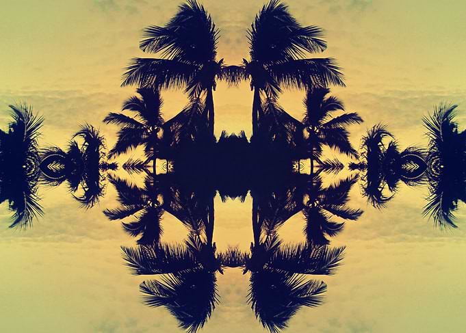 Summer Palms
