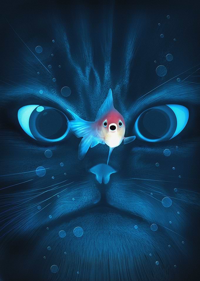Cat Fish
