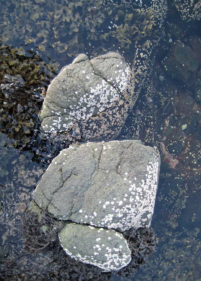 Between a rock and hard place