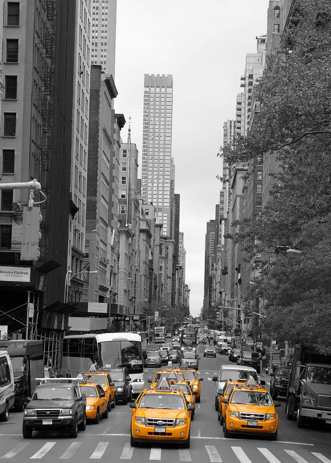 New Yorks Yellow Army