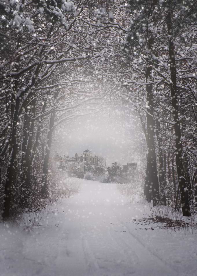 Winter view of an old castle in the forest