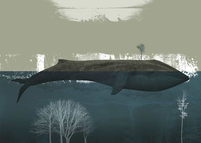 The Whale