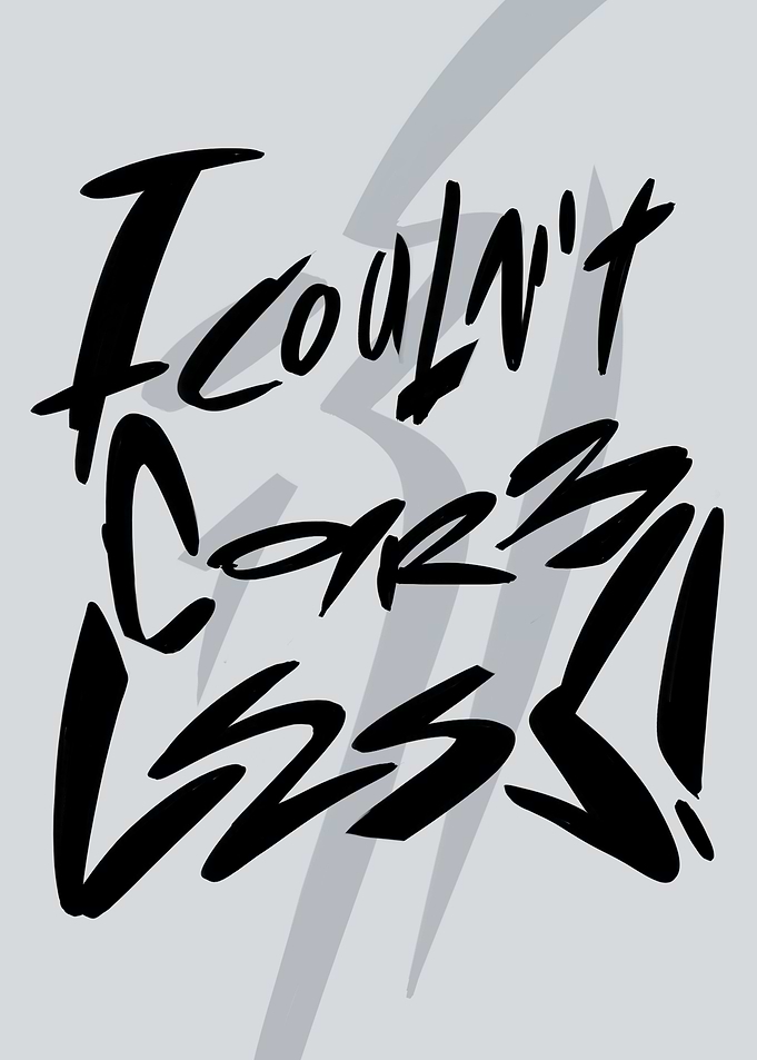 I couln't C4re 4ny L3sS!