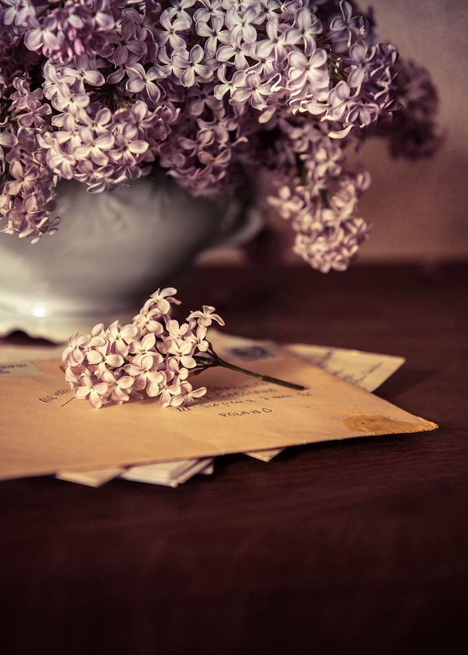 Still life with envelopes and fresh lilacs in white vas ...