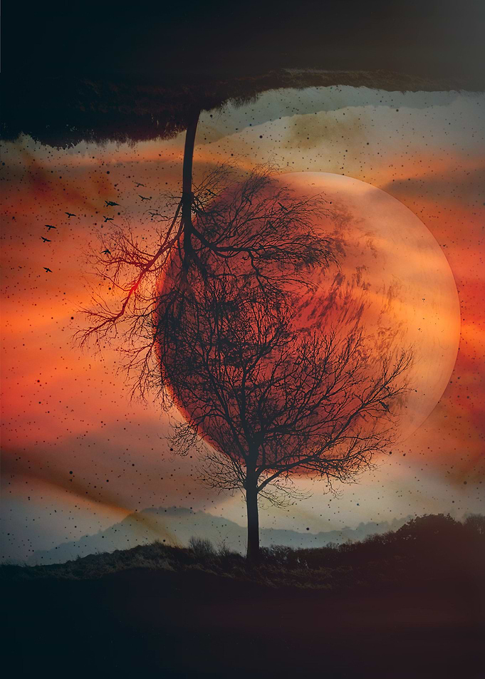 Birth of a planet