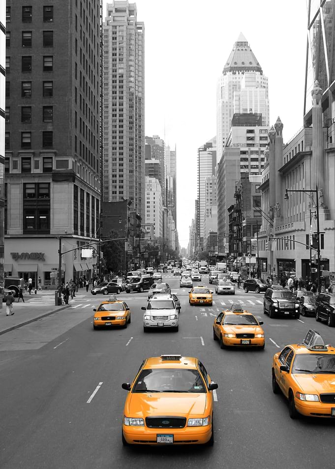 New Yorks Yellow Army 2
