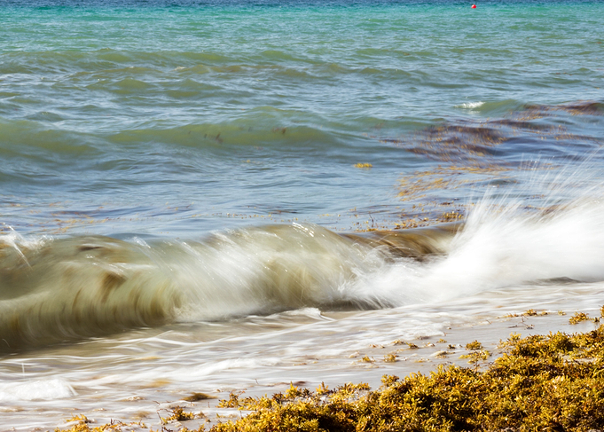 Shore