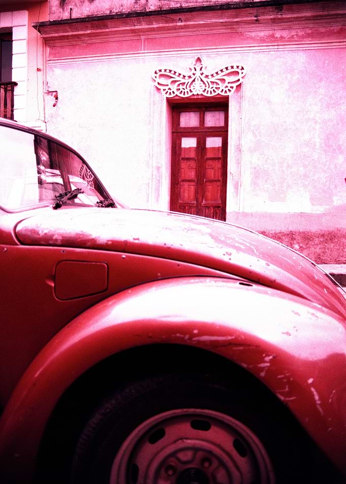 VW Kaefer