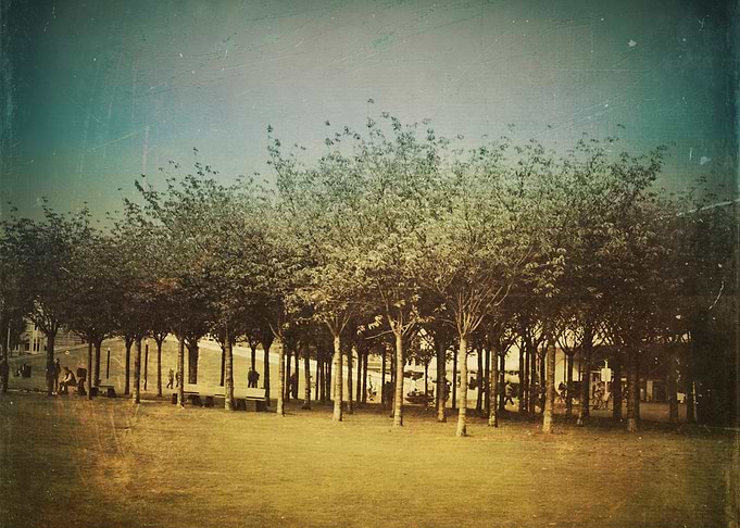 Somewhere a Park
