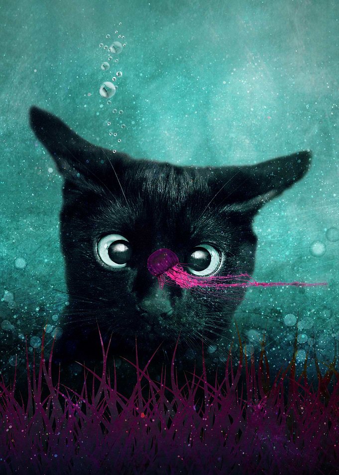 Curiosity I