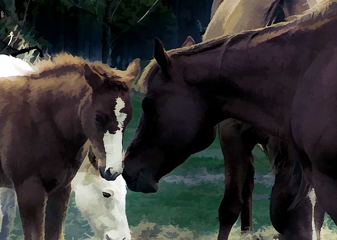 Mothers Love