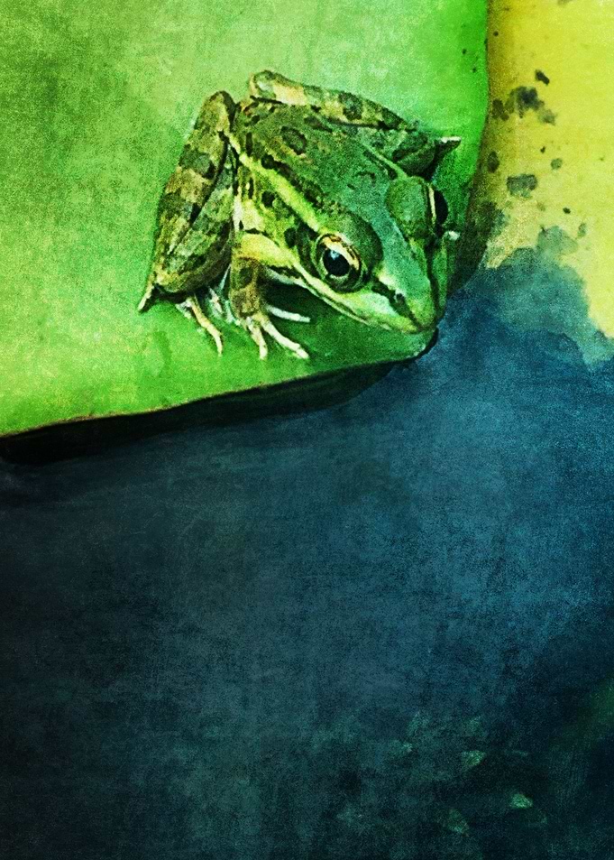 The Frog Prince
