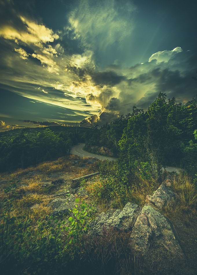 Road to oblivion