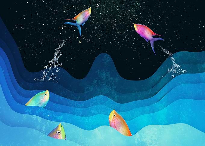 Come to reach the stars