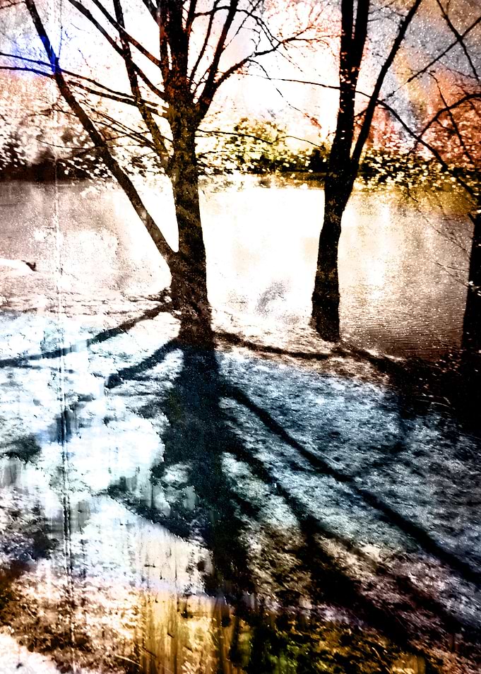 Through The Trees Photograph 2012