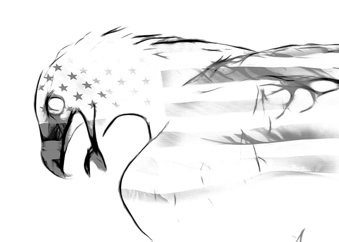 American Eagle Collage
