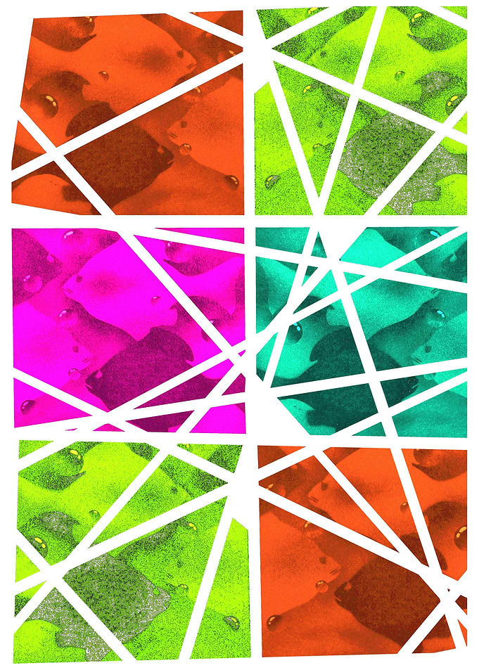 Pieces of Fish