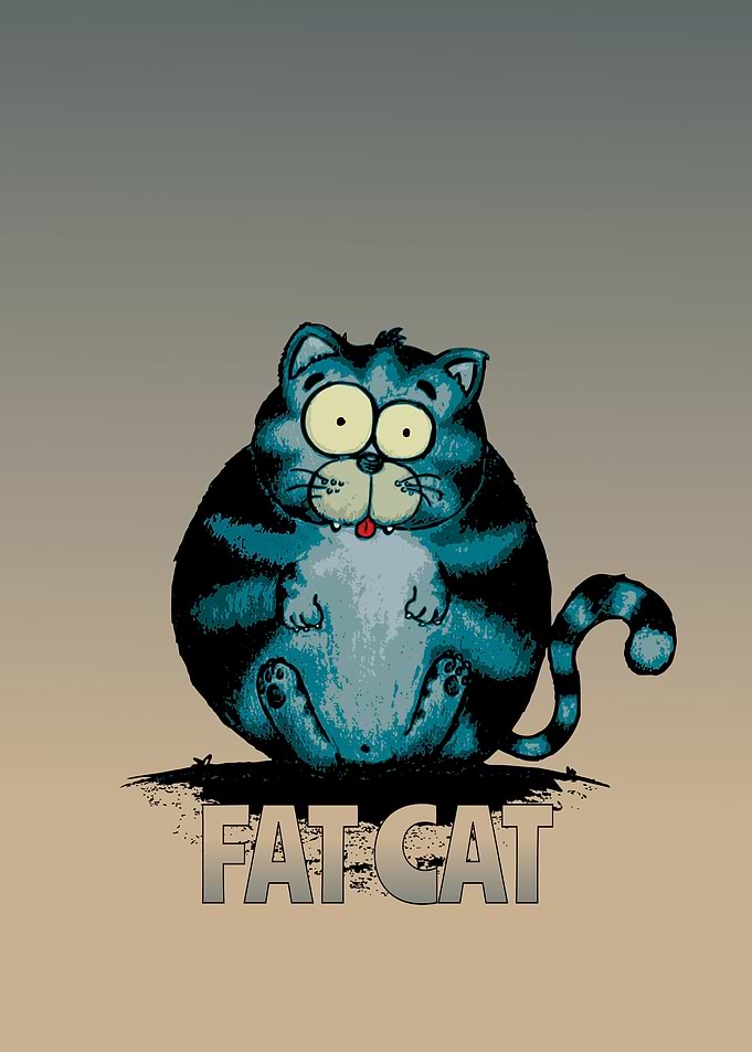Fat Cat