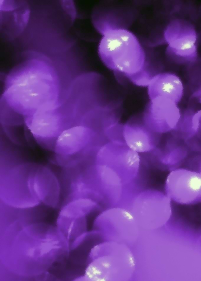 Abstract Bokeh Lights