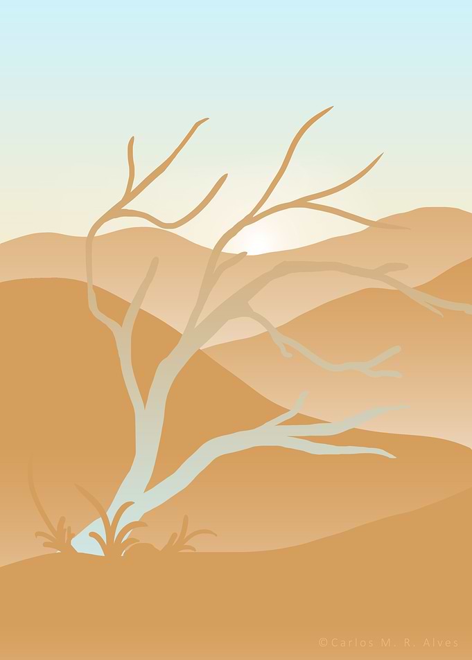Arid life