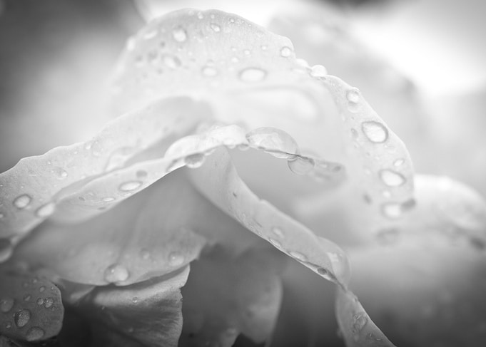 mystic nature