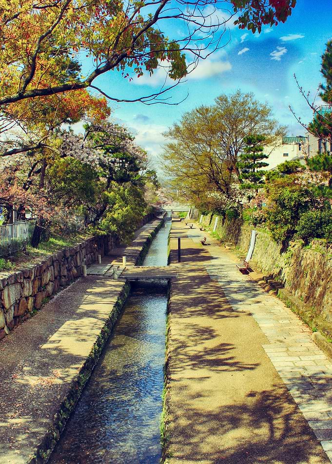 The river