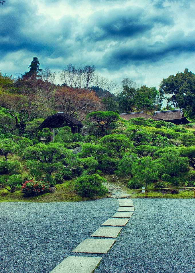 The amazing garden