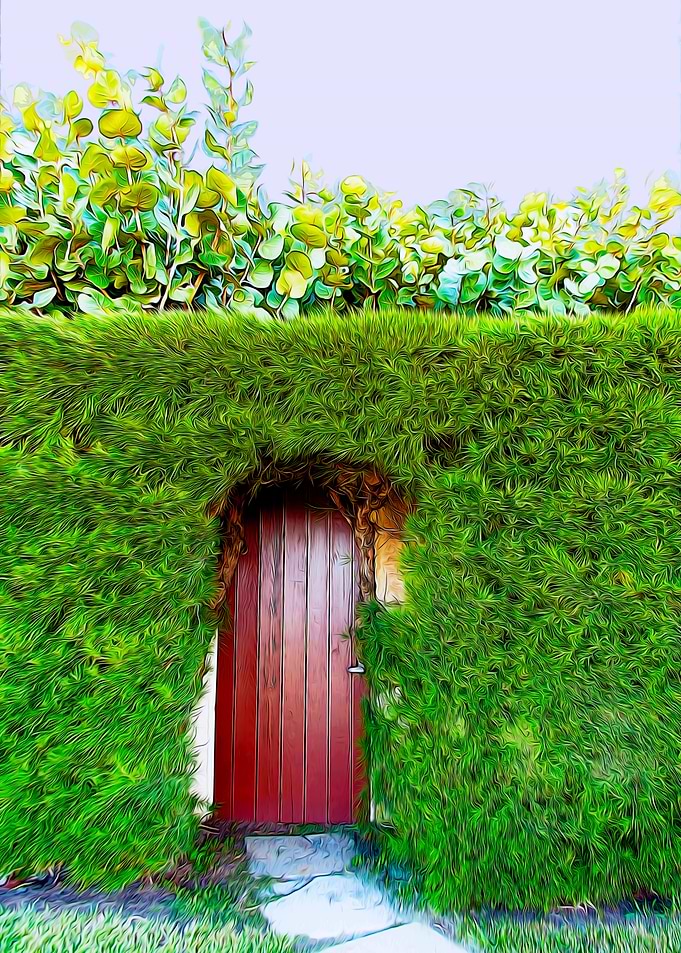 Doorway to Forest