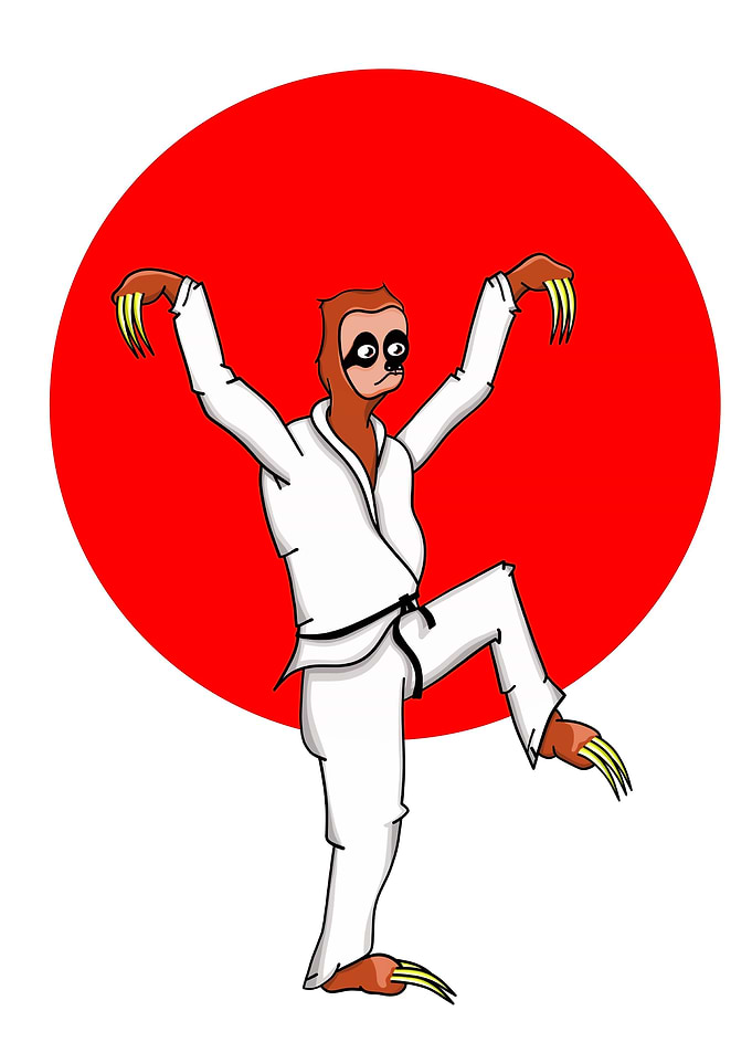 Sloth doing karate