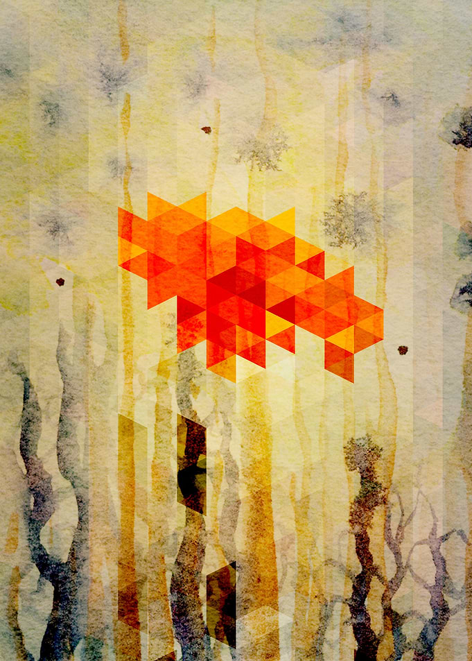 Triangle Design Nature