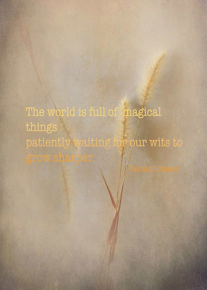Full of magic..