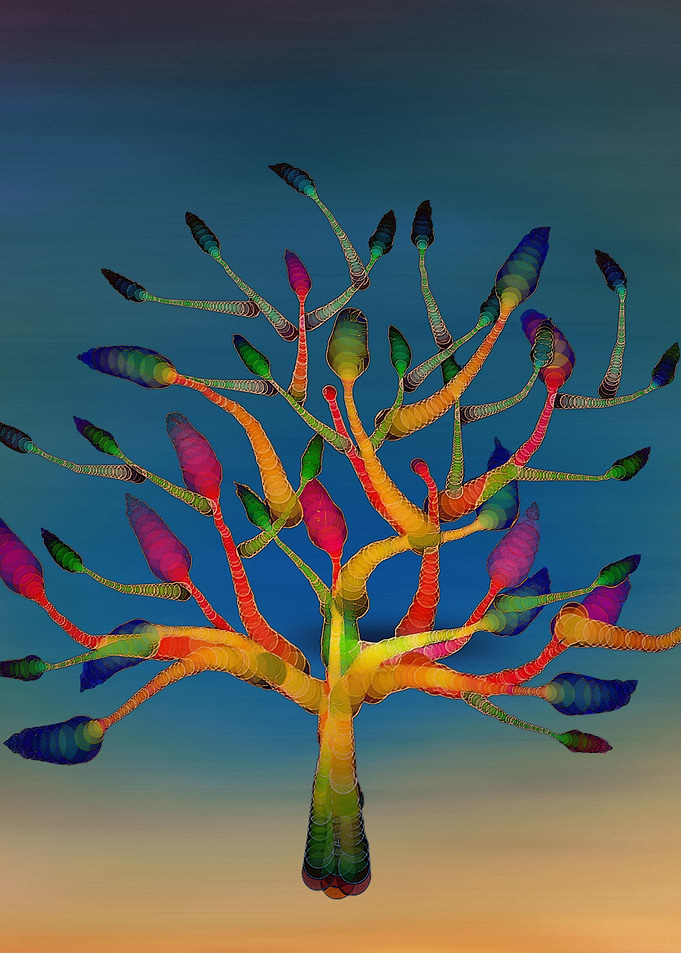 A Tree in my Dream